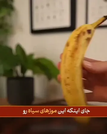 ریلز اخیر @vitadune، ۱۴٫۲ هزار بازدید